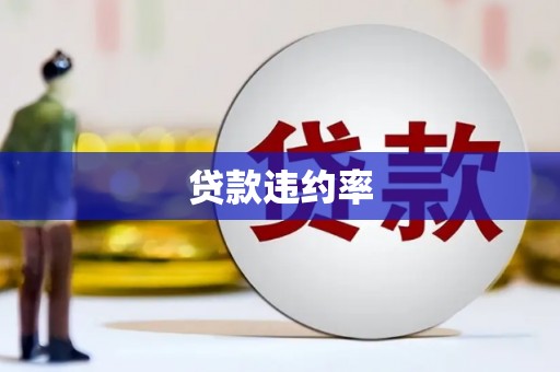 商河贷款违约率