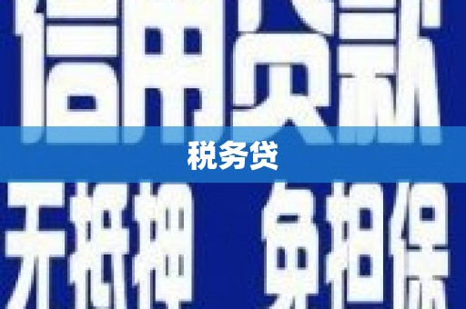 商河税务贷