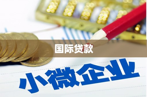 商河国际贷款