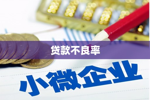 商河贷款不良率