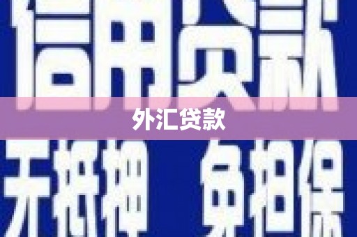 商河外汇贷款