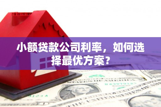 商河小额贷款公司利率，如何选择最优方案？