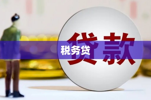 商河税务贷