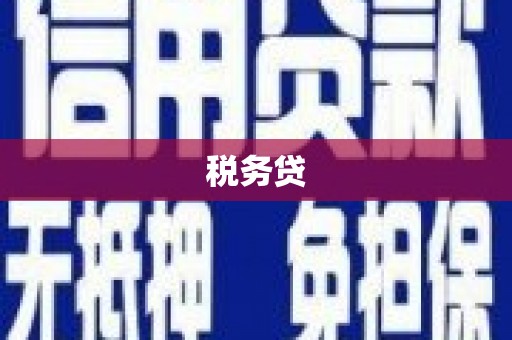 商河税务贷