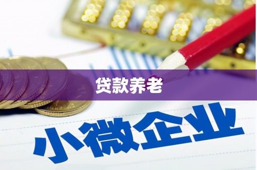 商河贷款养老