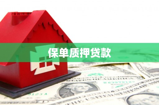 商河保单质押贷款