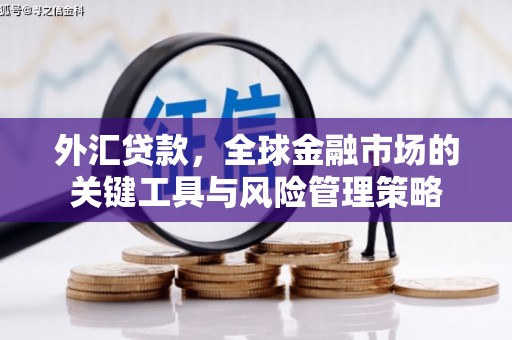 商河外汇贷款，全球金融市场的关键工具与风险管理策略