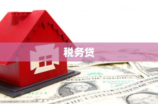 商河税务贷