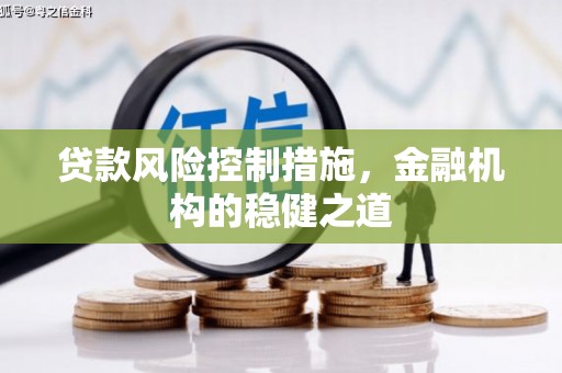 商河贷款风险控制措施，金融机构的稳健之道