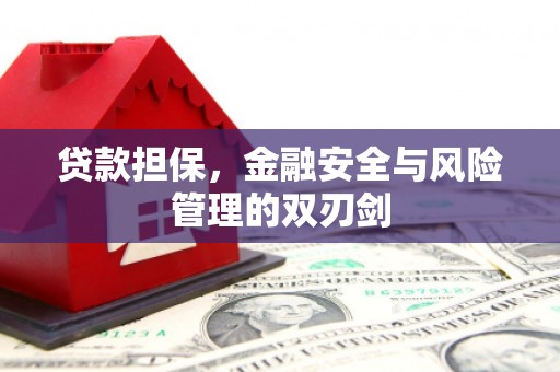 商河贷款担保，金融安全与风险管理的双刃剑