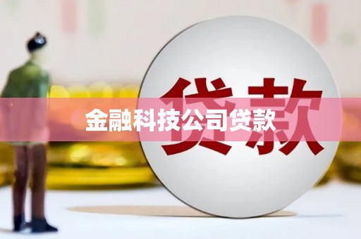 商河金融科技公司贷款