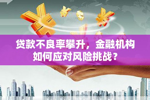 商河贷款不良率攀升，金融机构如何应对风险挑战？