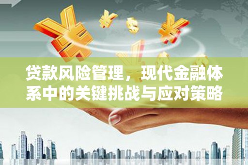 商河贷款风险管理，现代金融体系中的关键挑战与应对策略